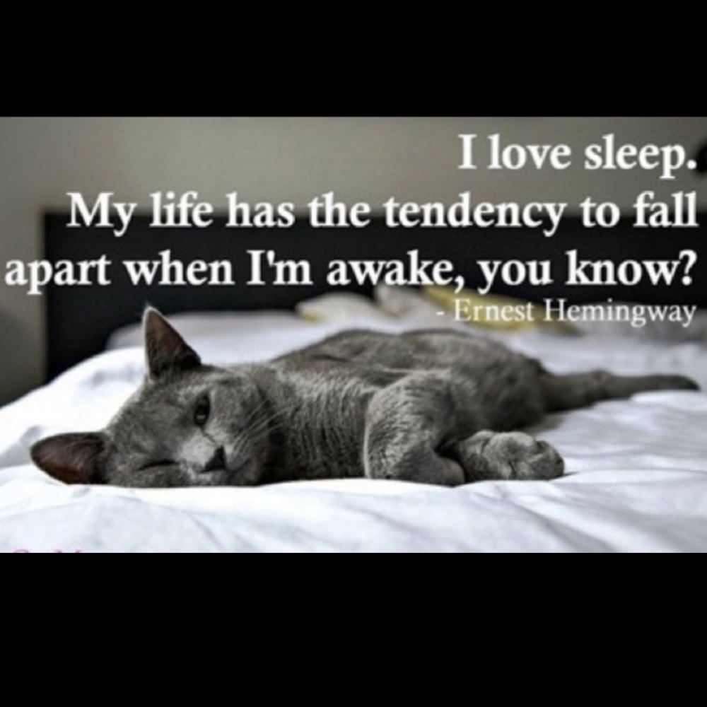 Funny Cat Photos! - Picture 12 of 15
